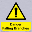 danger-falling-branches~